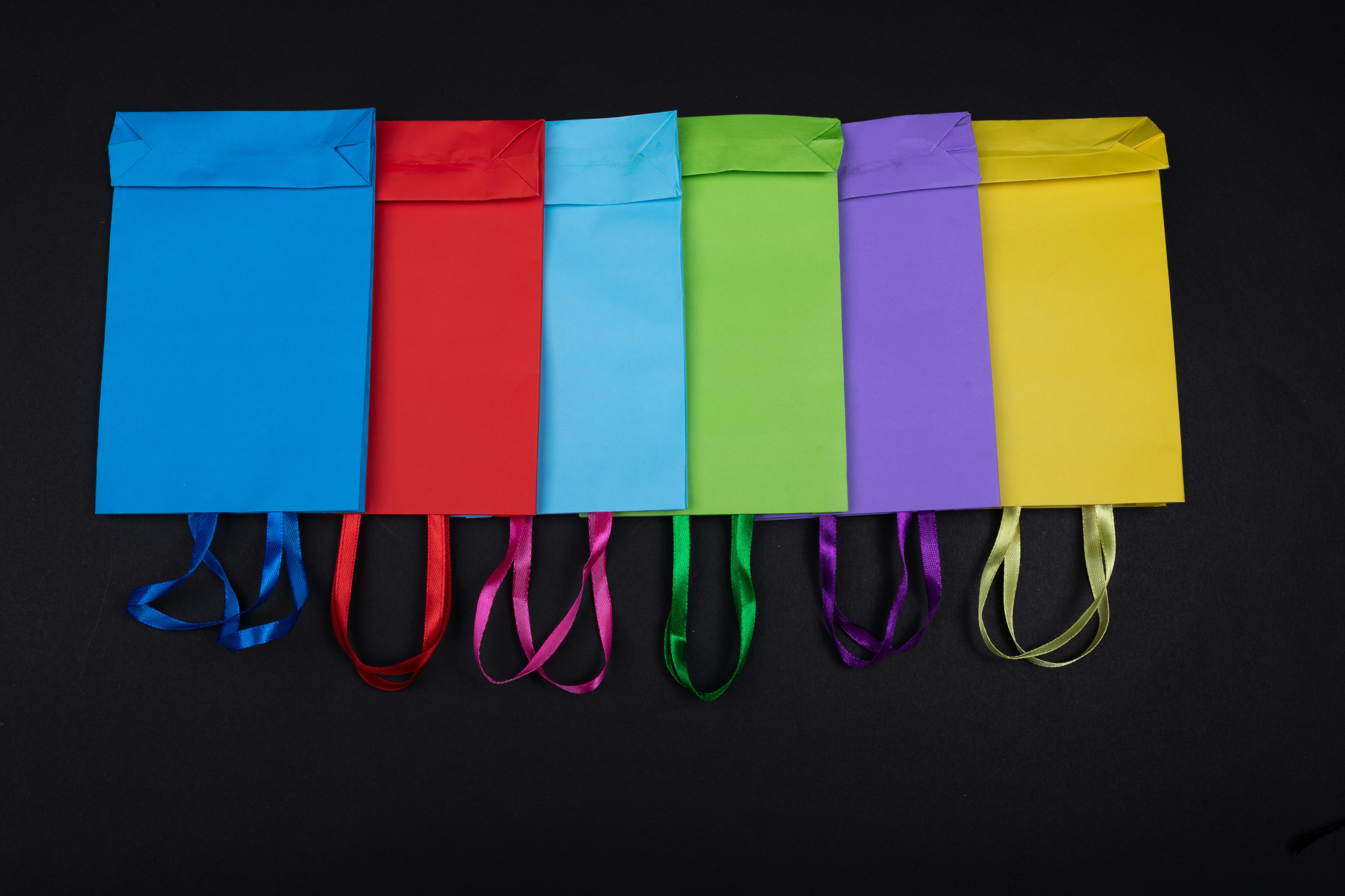 Boutique Carry Bag